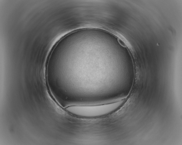 X0000112090996200908041446