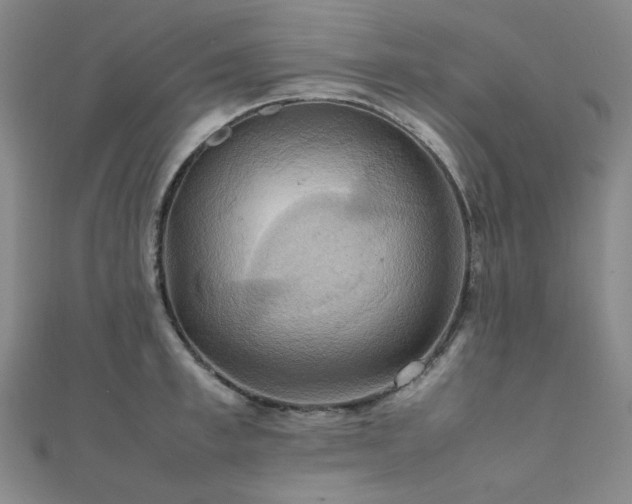 X0000112090997200908041446