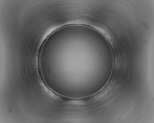 X0000112090998200908041446