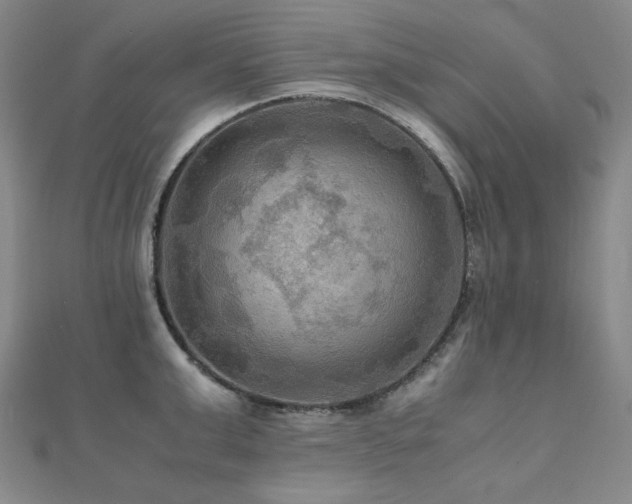 X0000112090999200908041446