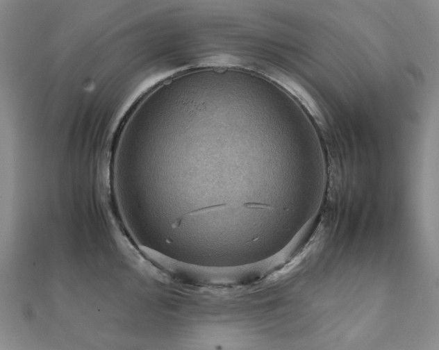 X0000112091000200908041446