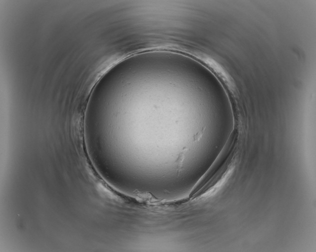 X0000112091001200908041446