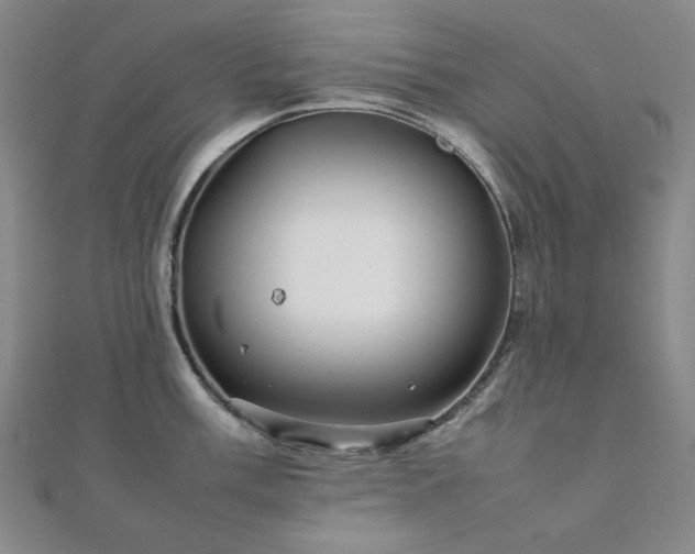 X0000112091003200908041446