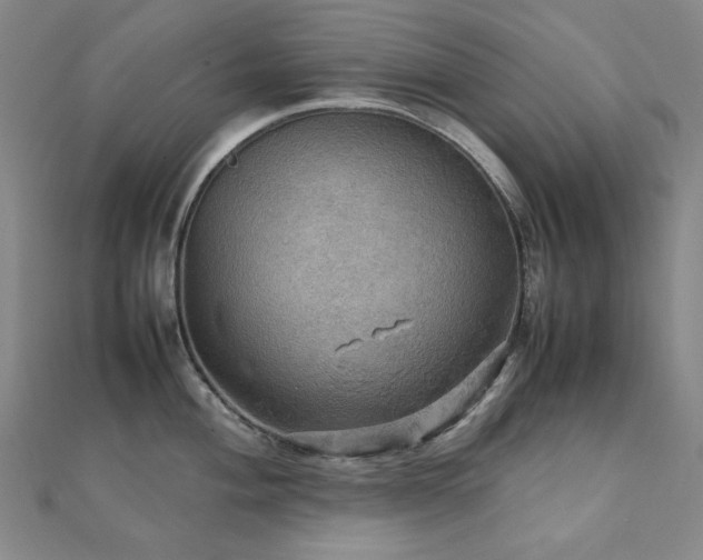 X0000112091004200908041446