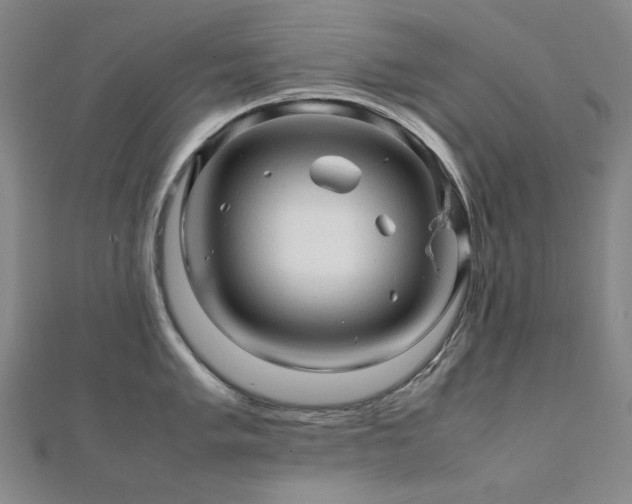 X0000112091005200908041446