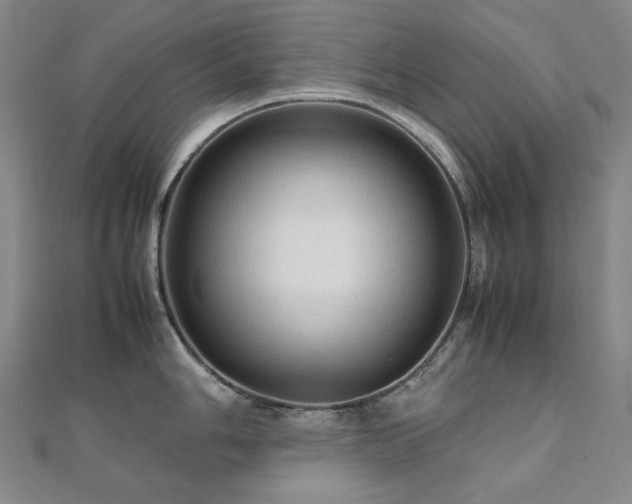 X0000112091006200908041446