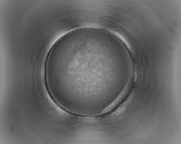 X0000112091007200908041446