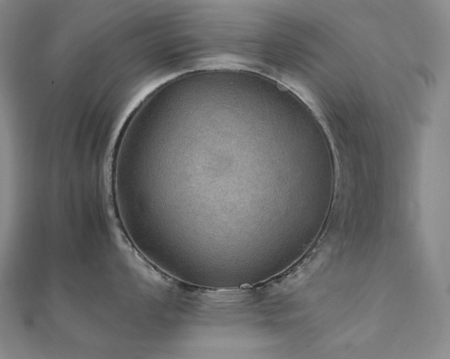 X0000112091008200908041446