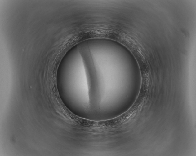 X0000112091009200908041445