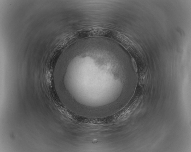 X0000112091010200908041445