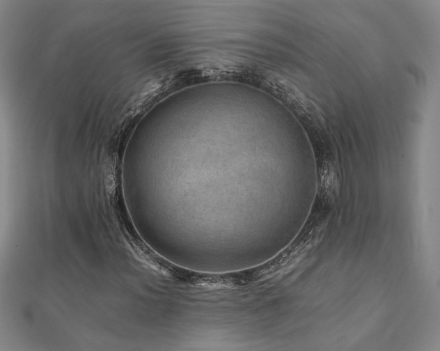 X0000112091012200908041445