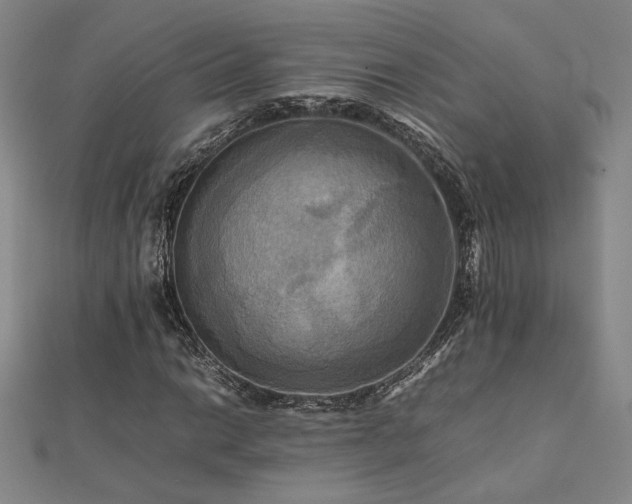 X0000112091014200908041446