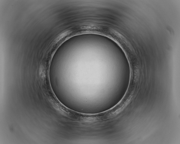 X0000112091017200908041446