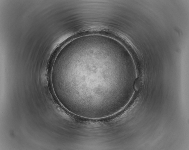 X0000112091018200908041446