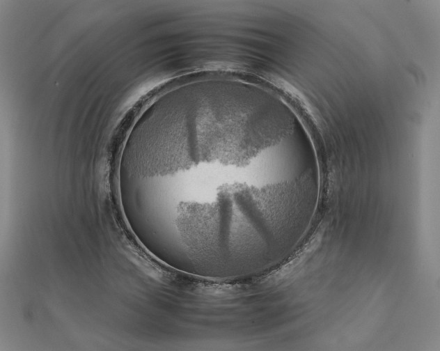 X0000112091019200908041446