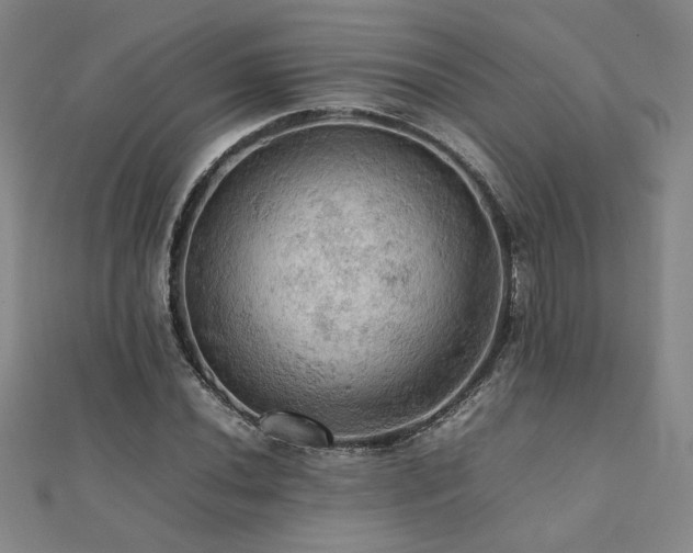 X0000112091020200908041446