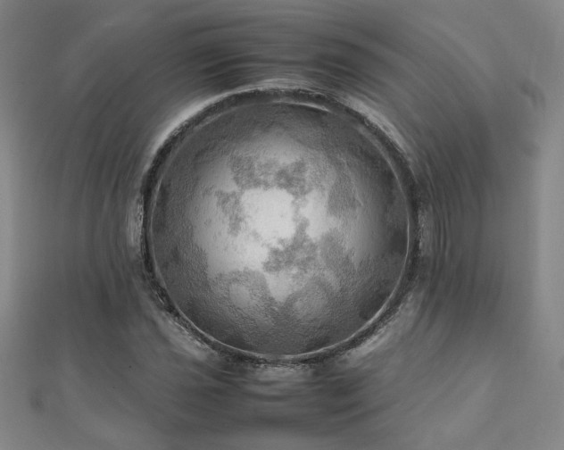 X0000112091021200908041446