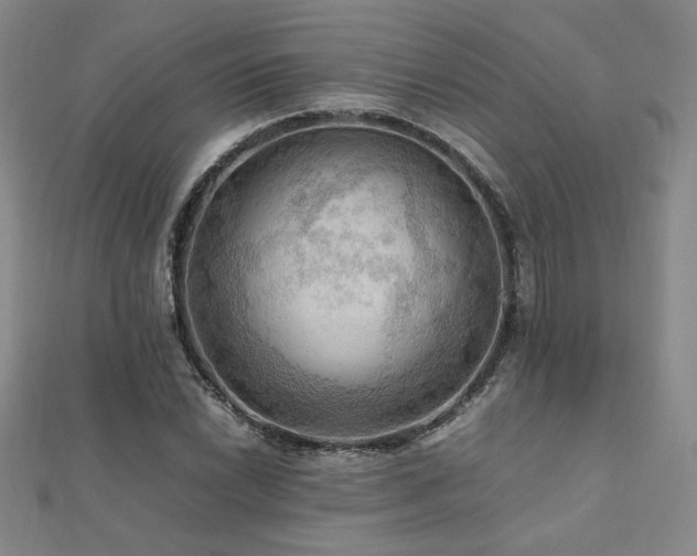 X0000112091022200908041446
