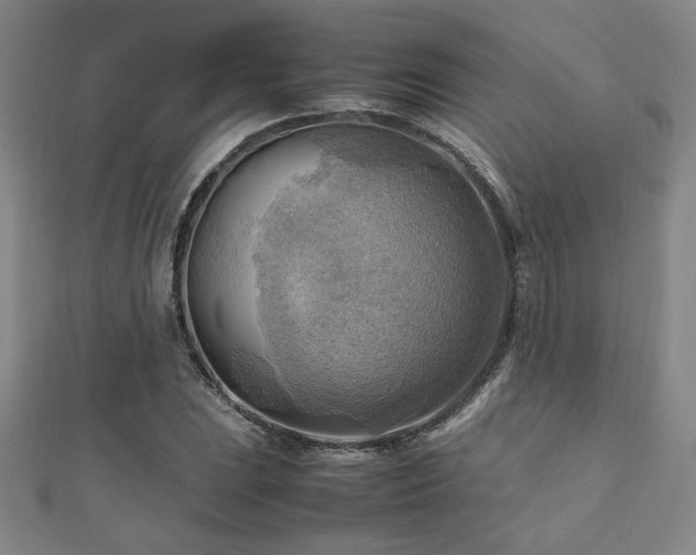 X0000112091023200908041446