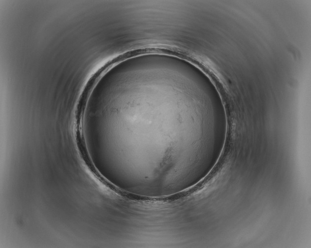 X0000112091024200908041446
