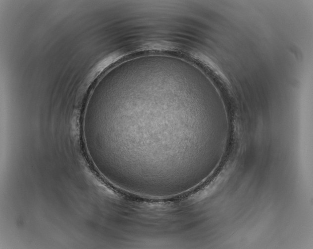 X0000112091025200908041446