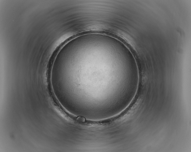 X0000112091026200908041446