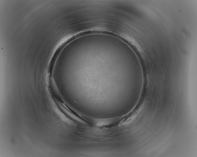 X0000112091029200908041446