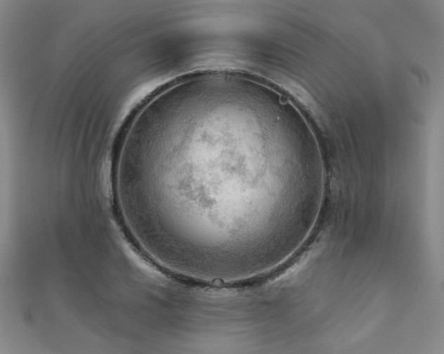 X0000112091030200908041446