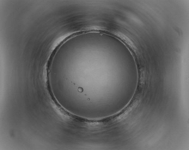 X0000112091031200908041446