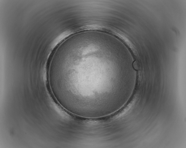 X0000112091034200908041446