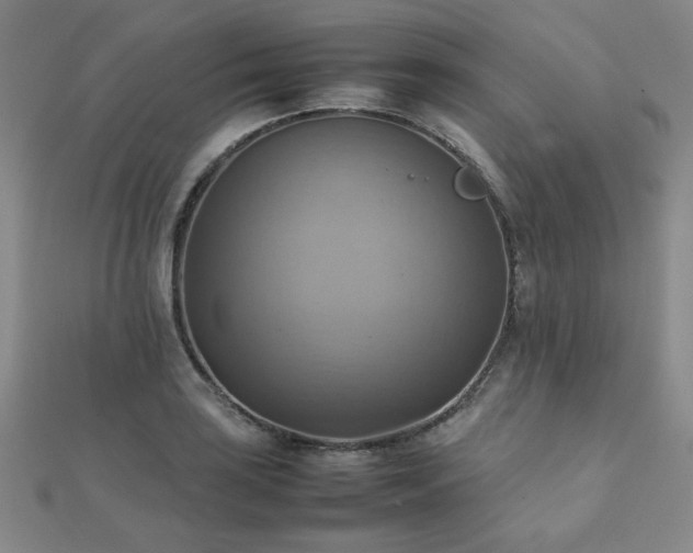 X0000112091035200908041446