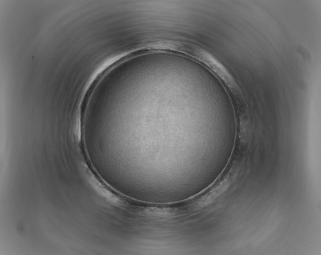 X0000112091036200908041446