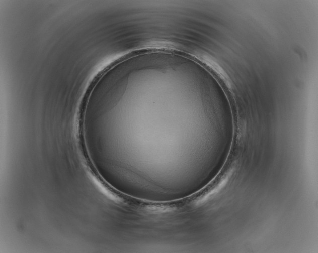 X0000112091037200908041446