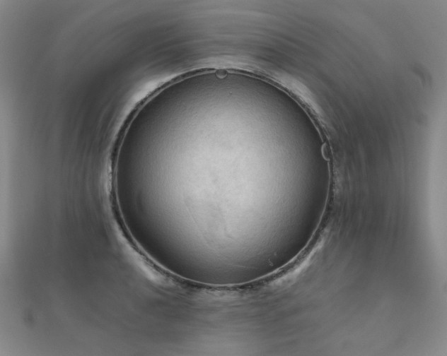 X0000112091040200908041446