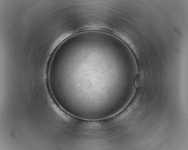 X0000112091042200908041446