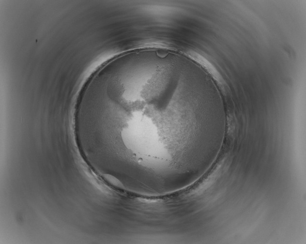 X0000112091043200908041446