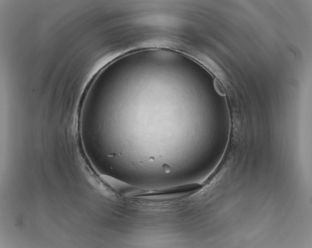 X0000112091044200908041446