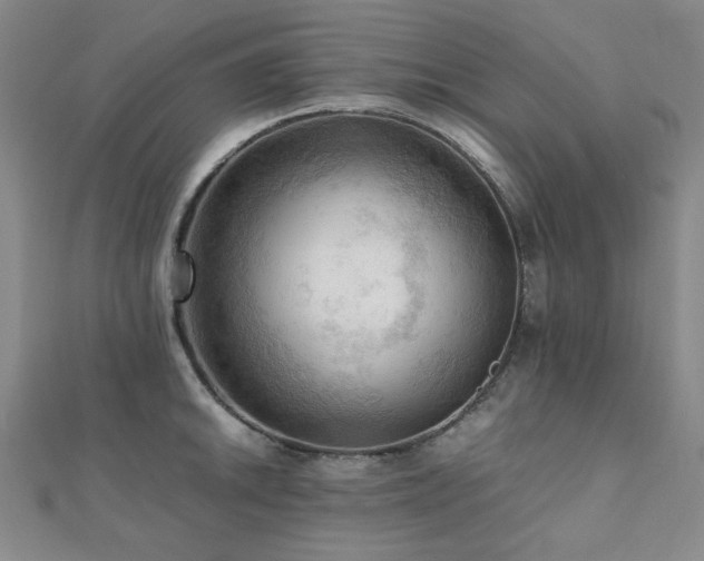 X0000112091046200908041446