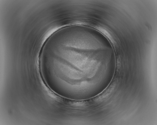X0000112091047200908041446