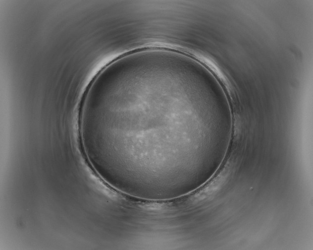 X0000112091048200908041446