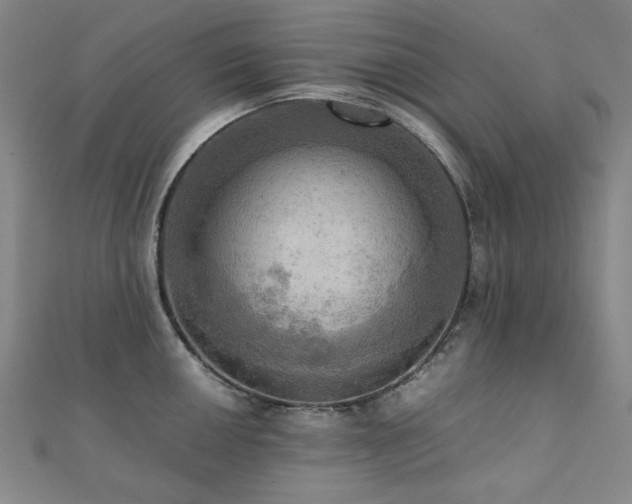 X0000112091050200908041446
