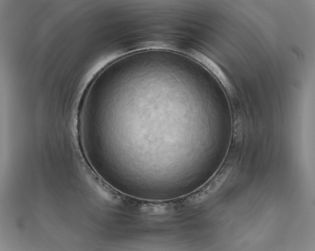 X0000112091051200908041446