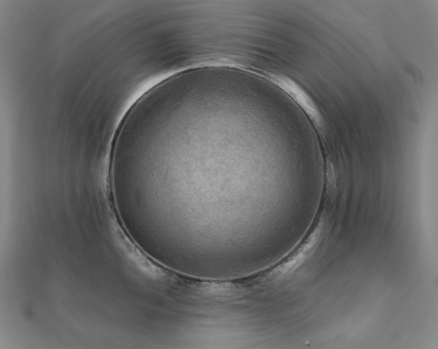 X0000112091052200908041446