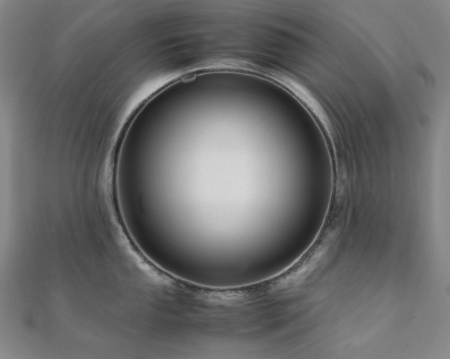 X0000112091053200908041446