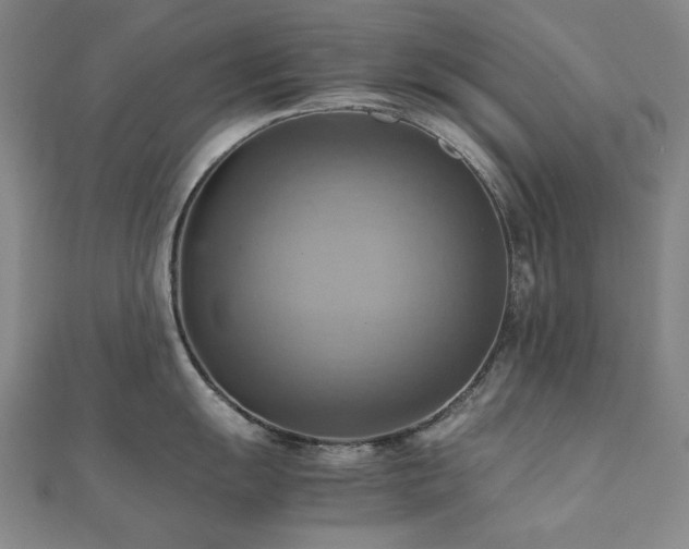 X0000112091055200908041446