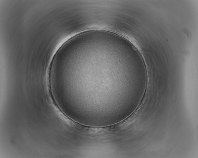 X0000112091056200908041446