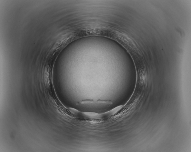 X0000112091060200908041445