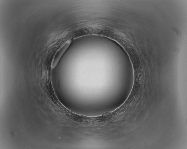X0000112091061200908041445