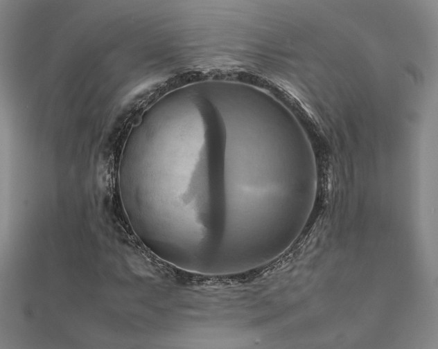 X0000112091063200908041445