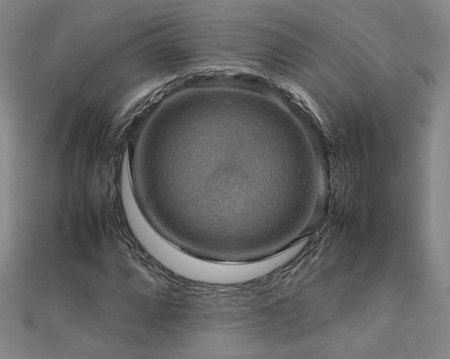 X0000112091064200908041445